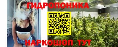 мдпв Ставрополь